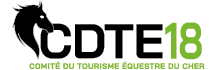 Logo CDTE18