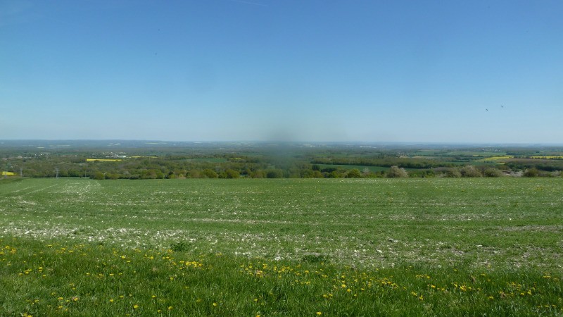 prairie avec point de vue