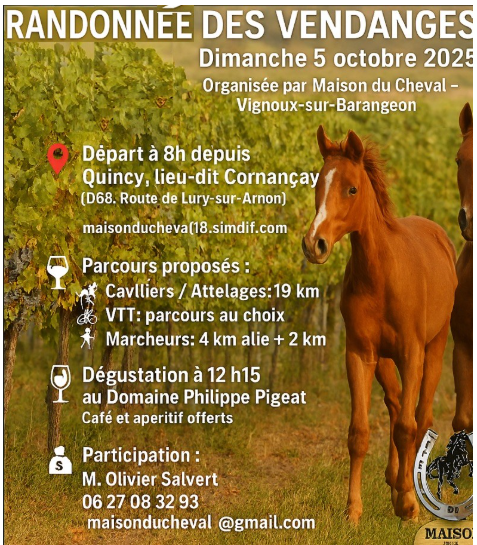 Randonnée des vendanges vignoux
