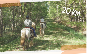 GRAND REGIONAL DE TOURISME EQUESTRE DU CHER samedi 27 et dimanche 28 juin